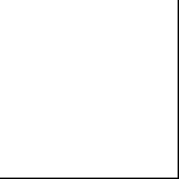 9905
